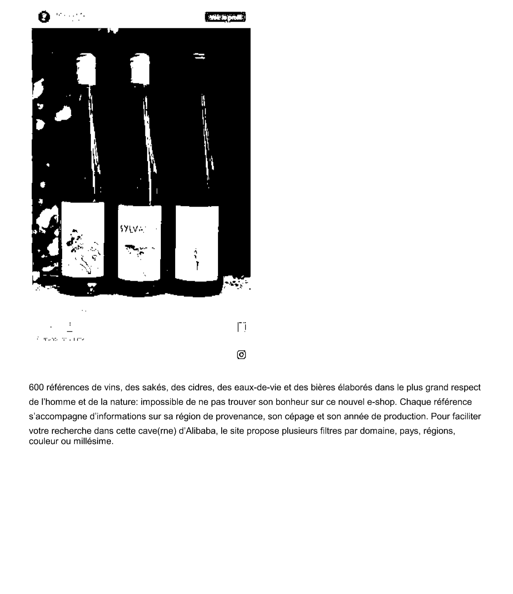 Capture d’écran 2023-09-22 à 15.33.38