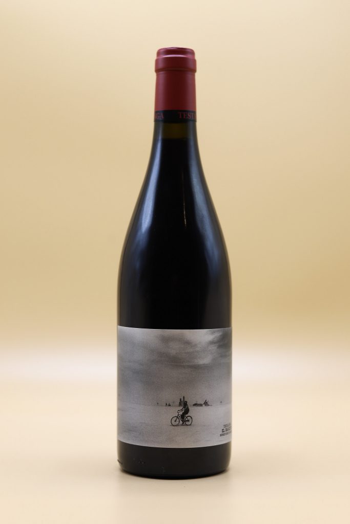 MONKEY-GONE-TO-HEAVEN