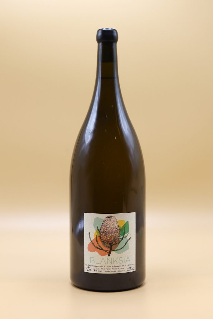 MAGNUM-BLANKSIA-2021*